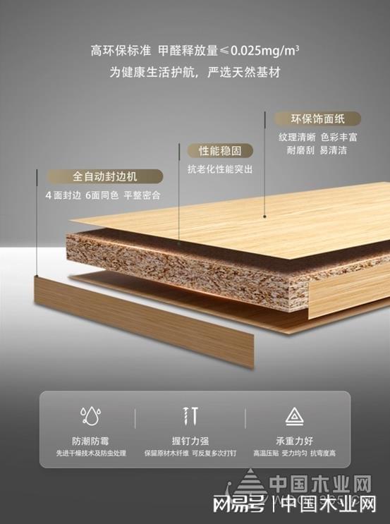 践行绿色发展！梦牌荣获2024年金匠榜“环保板材十大品牌”荣誉(图5)