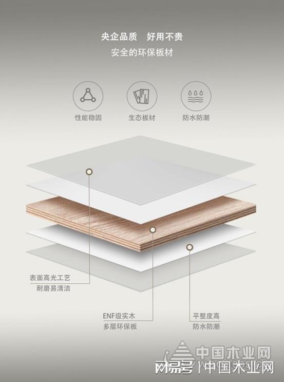 践行绿色发展！梦牌荣获2024年金匠榜“环保板材十大品牌”荣誉(图7)