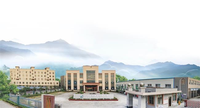 高光加冕|壮象板材斩获2024中品榜“环保板材十大品牌”必赢国际(图8)