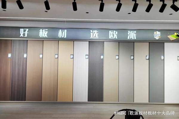 国产板材十大品牌2024上半Bwin必赢年盘点(图3)