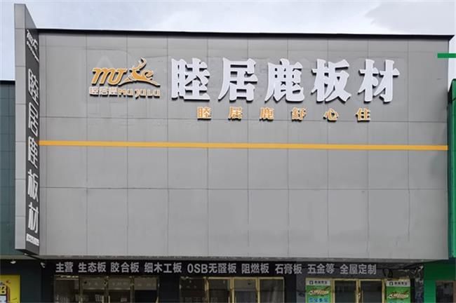 必赢见证品牌之力！第八届“中品榜”2024年度家具板十大品牌榜单出炉(图10)