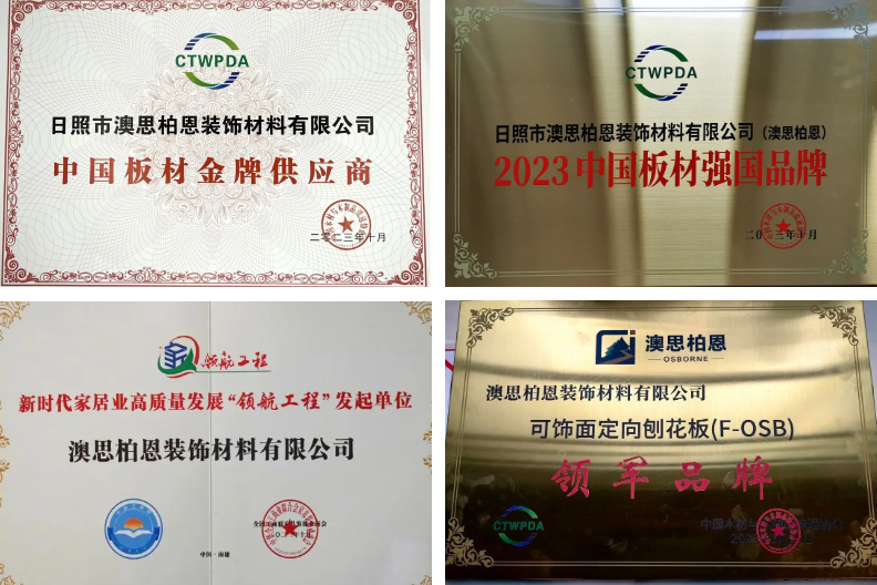 荣耀时刻丨澳思柏恩荣获2024年度「刨花板十大品牌」！(图4)