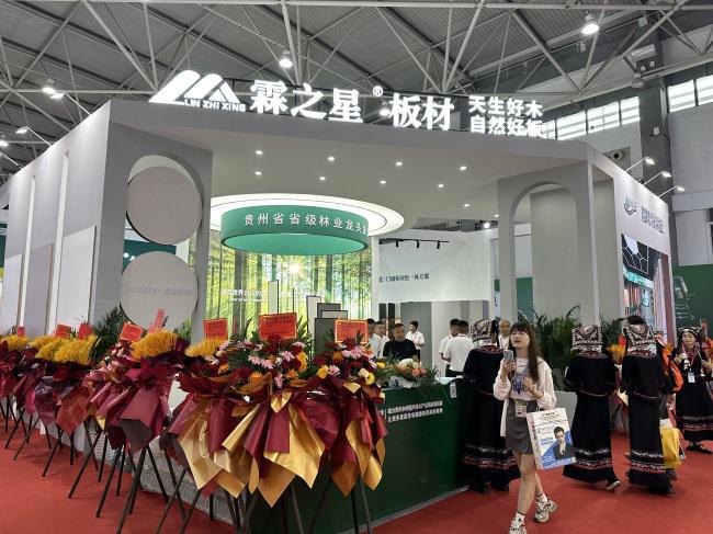 满载而归霖之星板材20必赢国际24贵阳西部建博会圆满收官！