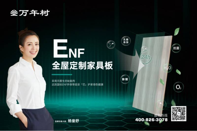 必赢国际万年树板材荣耀登顶2024金板榜十大品牌双料加冕引领行业新辉煌(图3)