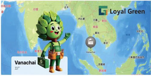 诚绿板材——引领板材行业的生态风尚(图5)