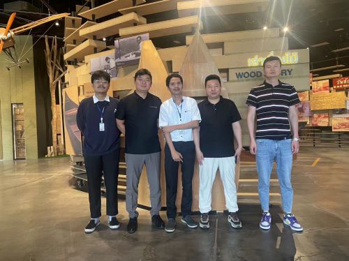 诚绿板材——引领板材行业的生态风尚(图4)