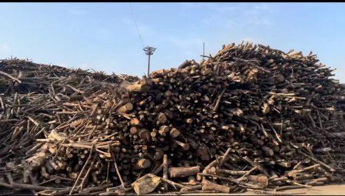 诚绿板材——引领板材行业的生态风尚(图8)