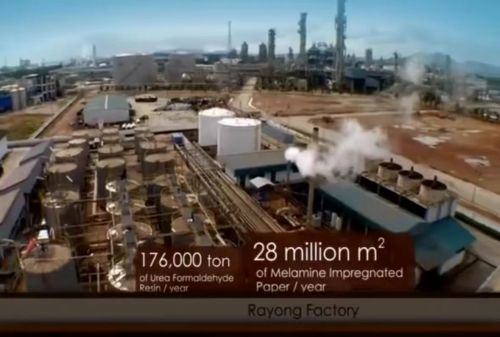 诚绿板材——引领板材行业的生态风尚(图10)