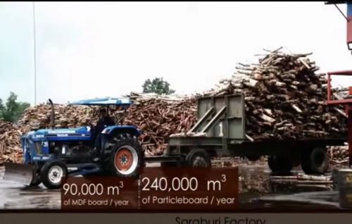 诚绿板材——引领板材行业的生态风尚(图9)