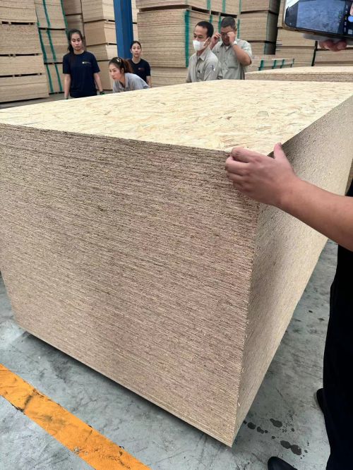 诚绿板材——引领板材行业的生态风尚(图14)