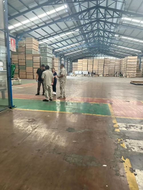 诚绿板材——引领板材行业的生态风尚(图21)