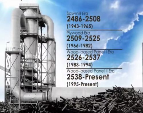 诚绿板材——引领板材行业的生态风尚(图23)