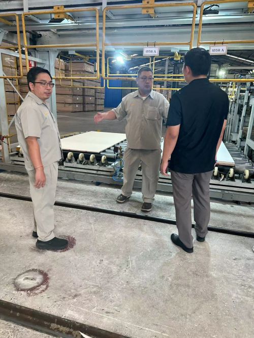 诚绿板材——引领板材行业的生态风尚(图31)