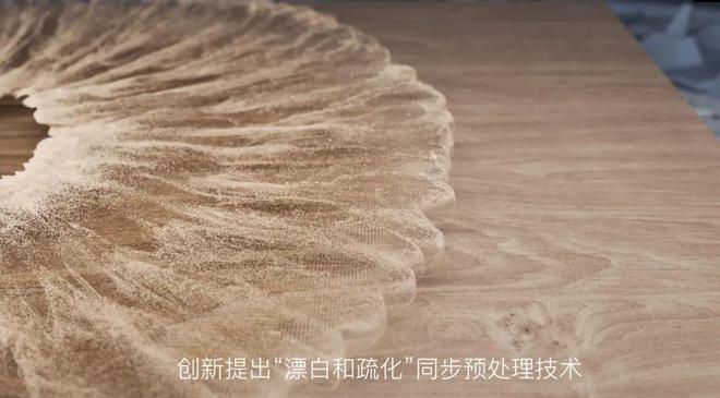 专利赋能绿色制必赢造|莫干山科技木荣获国家发明专利为行业树立新标杆(图2)