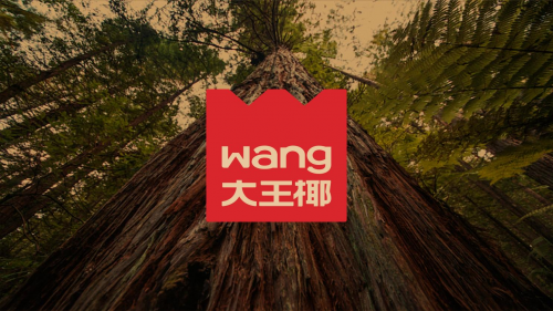 “大王椰”转身板材巨头如何让年轻人再次“上头”？(图3)