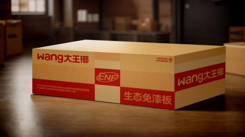 “大王椰”转身板材巨头如何让年轻人再次“上头”？(图6)