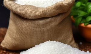 2024年家居行业市场全景调研未来发展前景分析(图7)