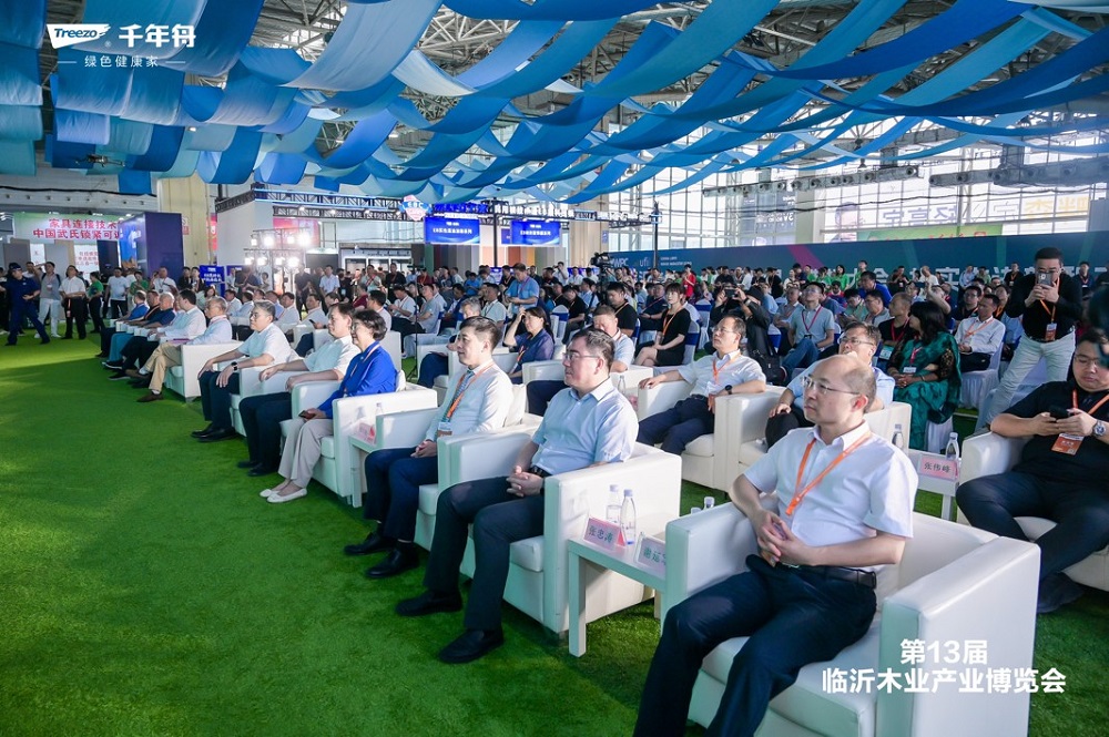 样板力量创新赋能：千年舟闪耀2024临沂木博会(图2)