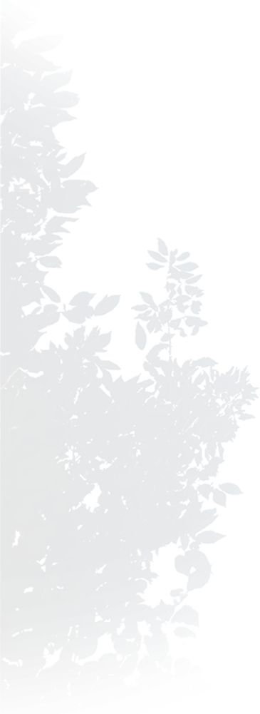 秋日家装第三期｜秋季装修地板的必赢国际注意事项