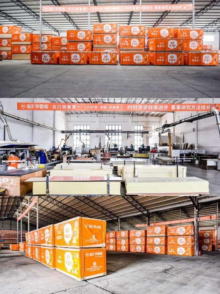 携福同庆板定未来2024福庆家具板总仓利润倍增创富峰会圆满成功！(图3)