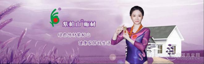 紫柏山板材销售总监雷娟：牢记环保初心坚守实木底色(图4)