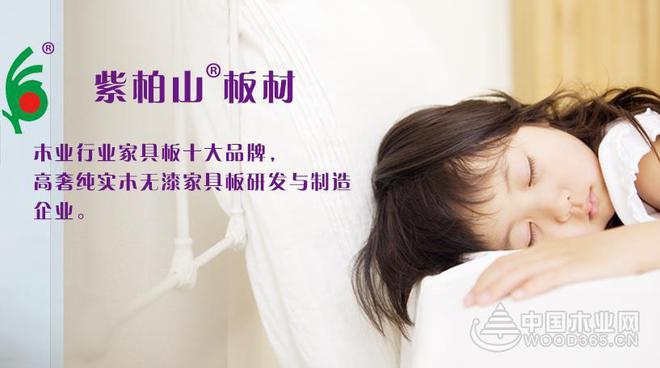 紫柏山板材销售总监雷娟：牢记环保初心坚守实木底色(图3)