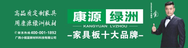 必赢家具板哪个牌子好？快看看这份2024年家具板十大品牌排行榜(图5)