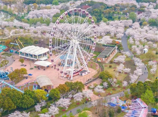 中建山水雅境(2024)网站-宝山中建山水雅境楼盘详情-户型配套(图23)