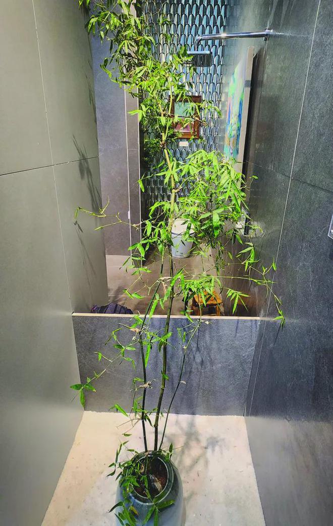 必赢展现未来多元化空间——2024中国家居新品潮流趋势(图5)