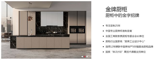 品牌推荐金牌整家定制以品质与服务提升美好人居生活(图3)