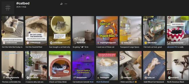 千亿美金高增市场小众宠物家居出海火热(图3)