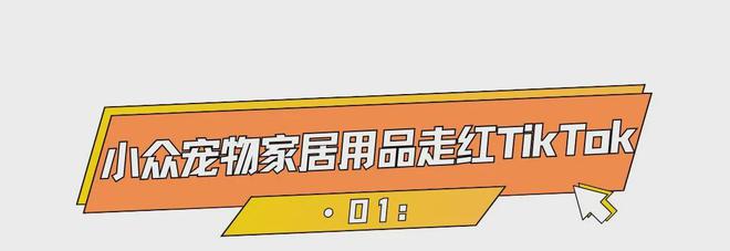 千亿美金高增市场小众宠物家居出海火热