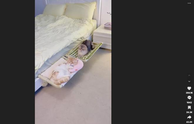 千亿美金高增市场小众宠物家居出海火热(图2)