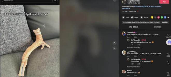 千亿美金高增市场小众宠物家居出海火热(图4)