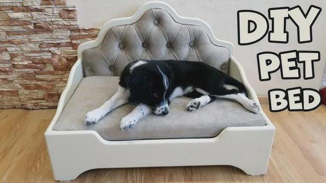 千亿美金高增市场小众宠物家居出海火热(图12)