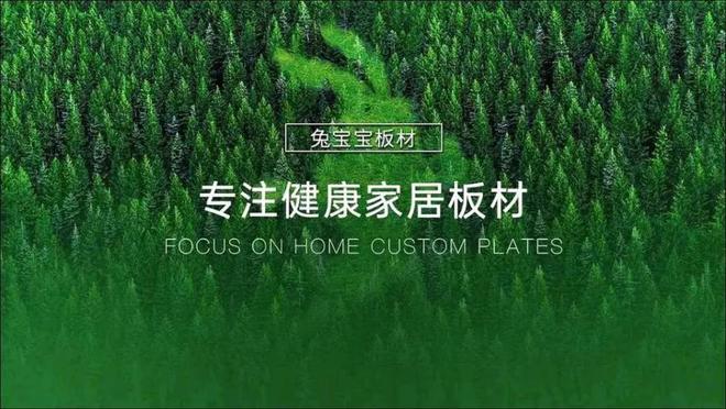 乡镇业务以及家具厂渠道发力兔宝宝板材业务逆势上扬21%！(图2)