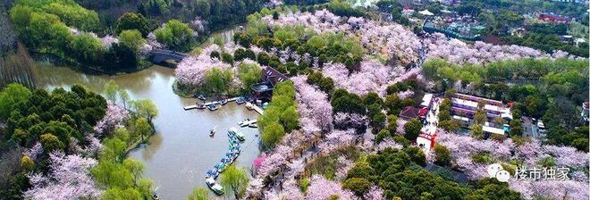 2024中建山水雅境楼盘评测：楼盘优缺点分析能不能买一文读懂(图15)