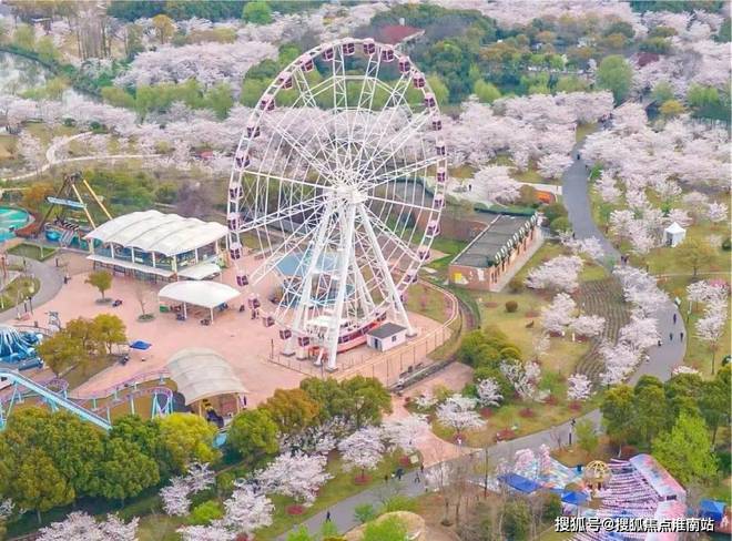 2024『山水雅境售楼处』网站-山水雅境房产百科-上海房天下(图24)