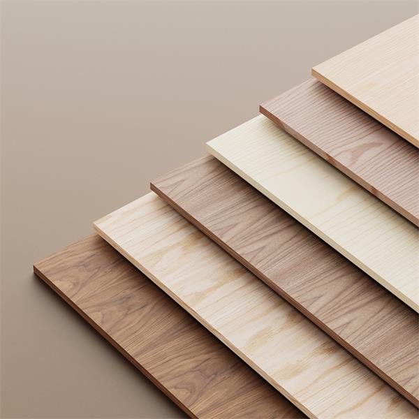 第八届家具品牌大会举行大王椰斩获“年度家居企业”殊荣(图5)