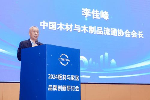 2024板材与家居品牌创新研讨会举行大王椰荣必赢国际获多项行业优秀称号
