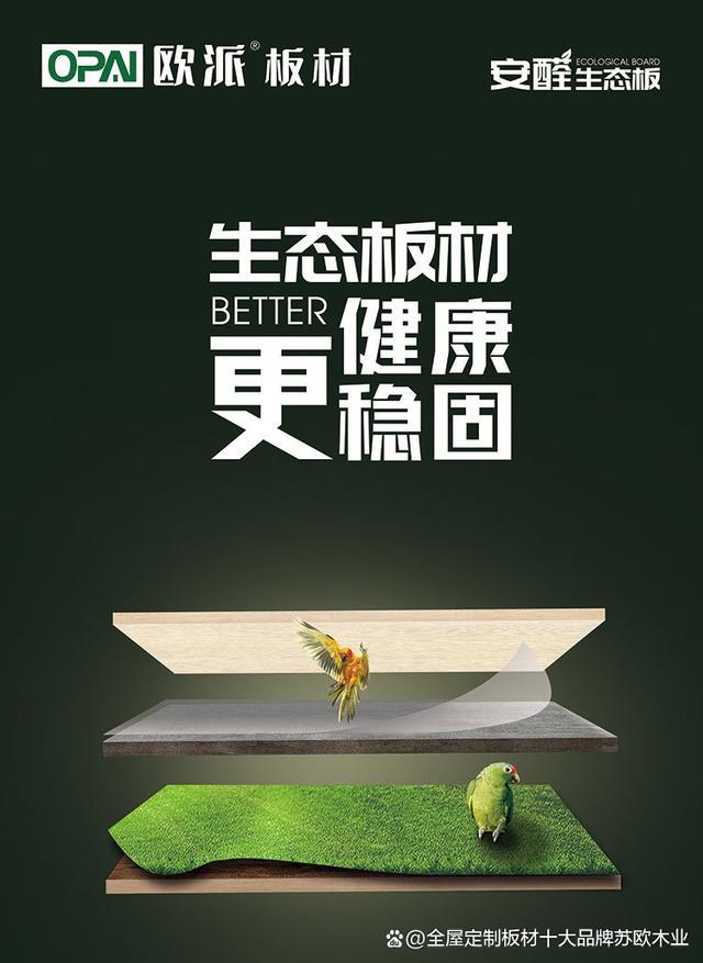 必赢做全屋定制什么板材更环保？有好的板材品牌推荐吗(图3)