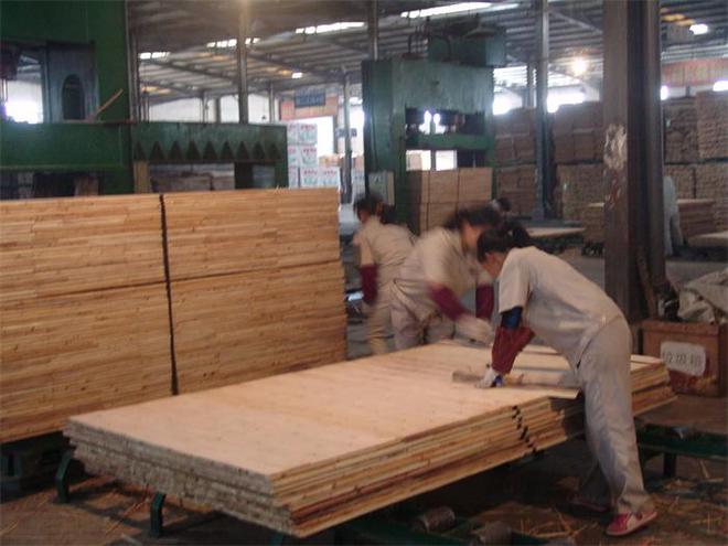 中国板材十大品牌盘点福湘板材荣获多项荣誉