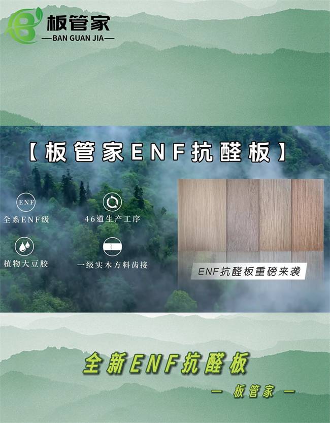 全国招商盛启板管家板材邀您共铸绿色建材新辉煌携手共进赢未来(图3)