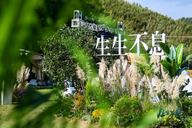 兔宝宝2024年秋季新品发布会以零醛新科技引领家居环保新潮流(图1)