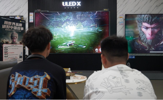 2024“十大热词”解锁家电消费新趋势(图3)