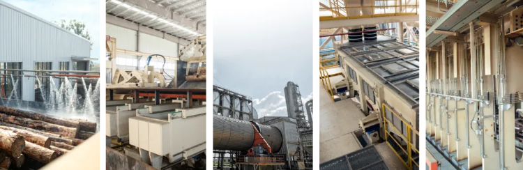 科技引领工业向新丨第十七届中国工业论坛读懂千年舟新绿时代的转型(图6)