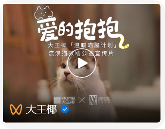 深度起底！大王椰“温暖喵屋计划20”用公益解锁品牌进阶方程式？Bwin必赢(图4)