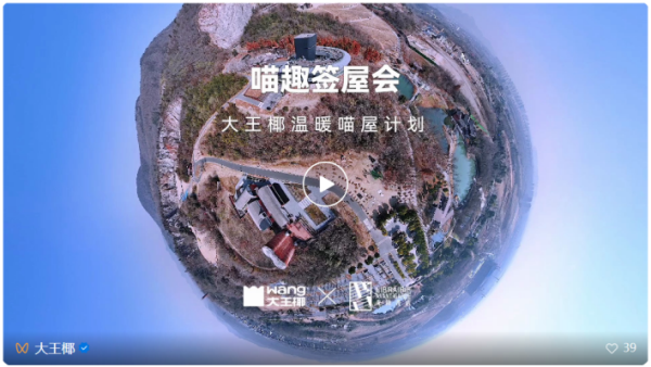 深度起底！大王椰“温暖喵屋计划20”用公益解锁品牌进阶方程式？Bwin必赢(图3)