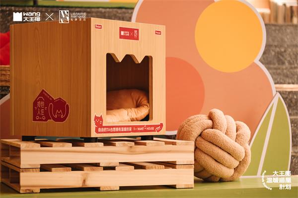 深度起底！大王椰“温暖喵屋计划20”用公益解锁品牌进阶方程式？Bwin必赢(图5)