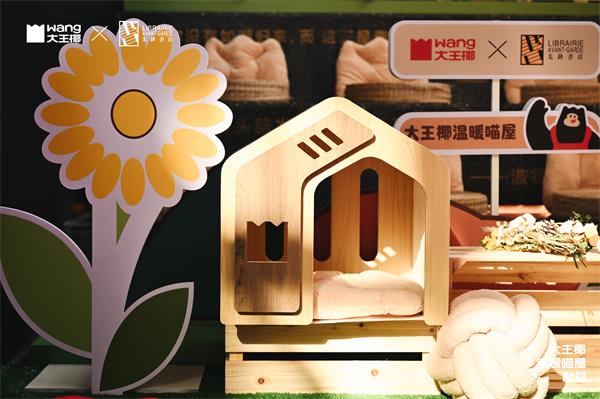 深度起底！大王椰“温暖喵屋计划20”用公益解锁品牌进阶方程式？Bwin必赢(图7)